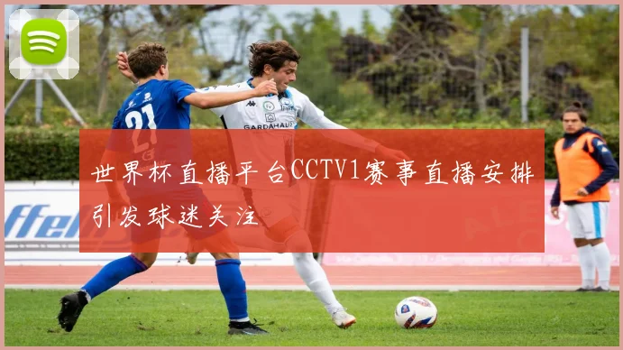 世界杯直播平台CCTV1赛事直播安排引发球迷关注