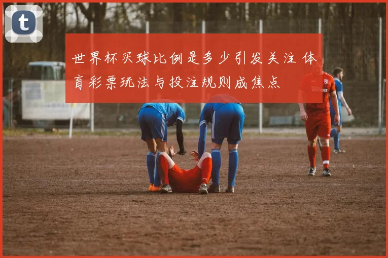 世界杯买球比例是多少引发关注 体育彩票玩法与投注规则成焦点