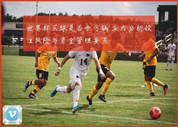 世界杯买球是否会亏钱 业内分析投注风险与资金管理要点