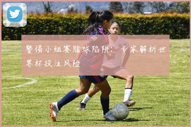 警惕小组赛赌球陷阱：专家解析世界杯投注风险