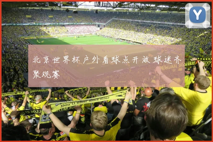北京世界杯户外看球点开放 球迷齐聚观赛