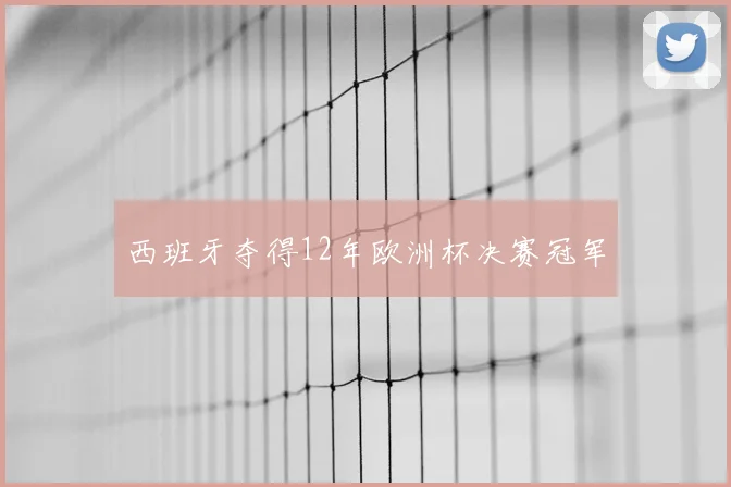 西班牙夺得12年欧洲杯决赛冠军