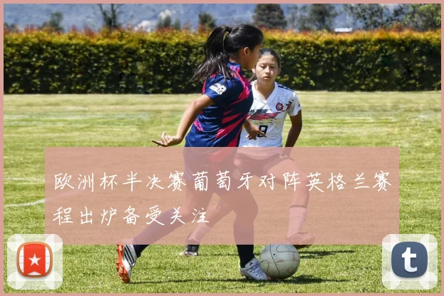 欧洲杯半决赛葡萄牙对阵英格兰赛程出炉备受关注